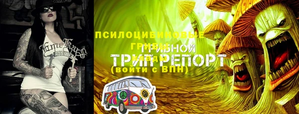 спайс Киренск