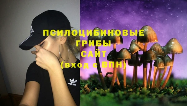бутират Кинешма