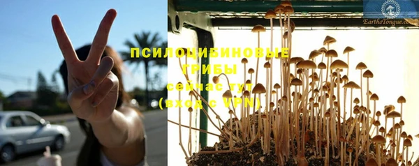 спайс Киренск
